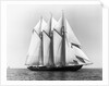 Dauntless Power Yacht in America's Cup Race by Anonymous