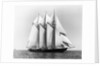 Dauntless Power Yacht in America's Cup Race by Anonymous