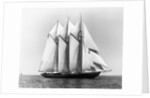 Dauntless Power Yacht in America's Cup Race by Anonymous