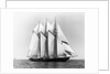 Dauntless Power Yacht in America's Cup Race by Anonymous
