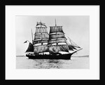 Manununi Merchant Bark in Rothsay Bay by Anonymous