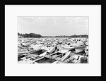 Moored Oyster Boats at Deep Creek by Anonymous