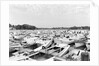 Moored Oyster Boats at Deep Creek by Anonymous