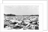Moored Oyster Boats at Deep Creek by Anonymous