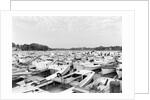 Moored Oyster Boats at Deep Creek by Anonymous
