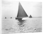 Skipjack Oyster Dredging on Chesapeake Bay by Anonymous