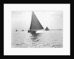Skipjack Oyster Dredging on Chesapeake Bay by Anonymous