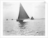 Skipjack Oyster Dredging on Chesapeake Bay by Anonymous