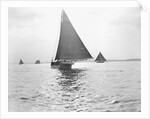 Skipjack Oyster Dredging on Chesapeake Bay by Anonymous