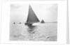 Skipjack Oyster Dredging on Chesapeake Bay by Anonymous