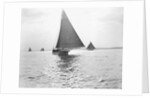Skipjack Oyster Dredging on Chesapeake Bay by Anonymous