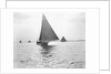 Skipjack Oyster Dredging on Chesapeake Bay by Anonymous