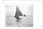 Skipjack Oyster Dredging on Chesapeake Bay by Anonymous
