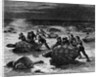 Catching Giant Tortoises by Anonymous