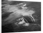 Andrea Doria Sinking by Anonymous