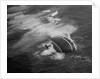 Andrea Doria Sinking by Anonymous