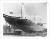 William Rockefeller Ready to be Launched by Anonymous