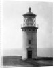 Kilauea Point Lighthouse by Anonymous
