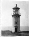 Kilauea Point Lighthouse by Anonymous