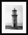 Kilauea Point Lighthouse by Anonymous