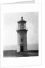 Kilauea Point Lighthouse by Anonymous