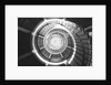 Spiral Staircase Inside Cape Henry Lighthouse by Anonymous