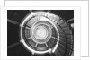 Spiral Staircase Inside Cape Henry Lighthouse by Anonymous
