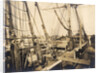 Deck of Whaling Bark Kathleen by Anonymous
