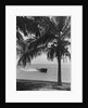 Motorboat Cruising Along Miami Beach by Anonymous