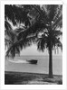 Motorboat Cruising Along Miami Beach by Anonymous