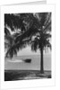 Motorboat Cruising Along Miami Beach by Anonymous