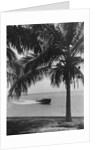 Motorboat Cruising Along Miami Beach by Anonymous