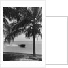 Motorboat Cruising Along Miami Beach by Anonymous
