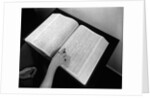 Dun & Bradstreet Telephone Book by Anonymous