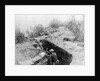 Soldiers Fighting From the Trenches by Anonymous