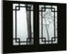 Trees Seen Through House Windows in Pingyao by Anonymous