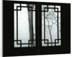 Trees Seen Through House Windows in Pingyao by Anonymous