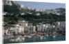 Capri Harbor by Anonymous