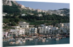 Capri Harbor by Anonymous