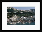 Capri Harbor by Anonymous