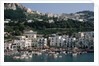 Capri Harbor by Anonymous
