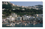Capri Harbor by Anonymous