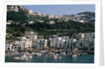 Capri Harbor by Anonymous