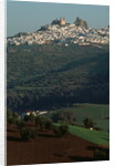 View of Olvera, Spain by Anonymous