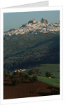 View of Olvera, Spain by Anonymous