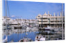 Marbella Marina by Anonymous