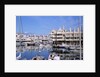 Marbella Marina by Anonymous