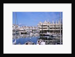Marbella Marina by Anonymous