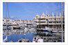 Marbella Marina by Anonymous