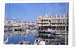 Marbella Marina by Anonymous
